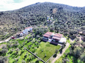 Гостиница Gera's Olive Grove - Elaionas tis Geras  Перама